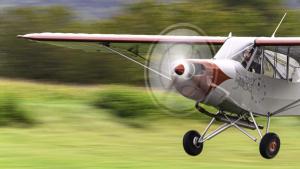 DSC1533-20250913-DxODeepPRIME-3-2